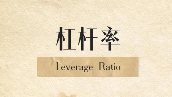 杠杆倍率